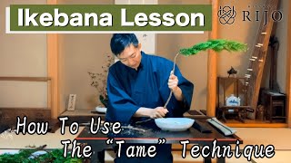 How To Use The “Tame” Technique | Rijo-Miyamoto(Ikebana Artist)