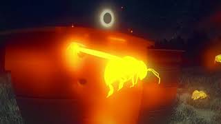How animals react to a solar eclipse
