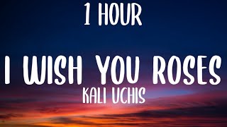 Kali Uchis - I Wish you Roses (1 HOUR/Lyrics)