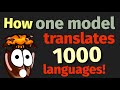 Machine Translation for a 1000 languages – Paper explained