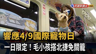 響應國際寵物日 北捷推一日限定寵物專車－民視台語新聞