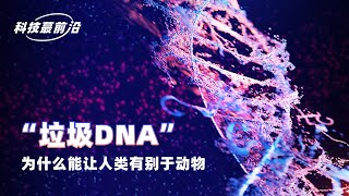 一刻talks：“垃圾DNA”为什么能让人类有别于 动物