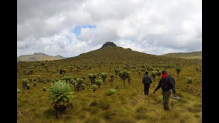 HIKING RURIMERIA PEAK IN THE ABERDARES (The views never disappoint)