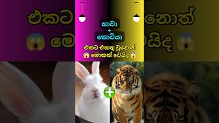 අම්මෝ ඌට අහුවුණොත් කෑලි ටිකත් නෑ නේද 😱 Ai animals #shorts #shortsfeed #top10