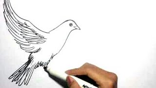 Cara Menggambar Burung How To Draw Bird