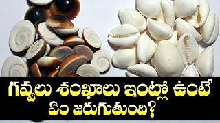 గవ్వలు శంఖాలు ఇంట్లో ఉంటే లక్ష్మి ఉంటుందా? | Gavvalu Shankalu Ante Lakshmi devi | M3