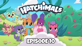 Hatchimals Colleggtibles Lets Hatch Season 3 Hff