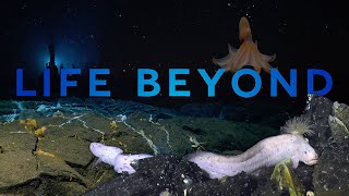 Life Beyond: Harnessing science to safeguard our seas