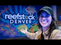 I Traveled Across the COUNTRY to Attend Reefstock Denver