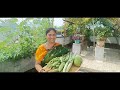 temporary ଛାତଉପରେ ହେଲା ଭାଡ଼ି ଚାଷ ବୋଉଙ୍କ ବଗିଚା terrace garden