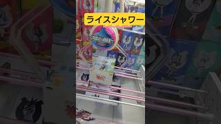 【ウマ娘】クレーンゲームバランスキャッチ一発取りライスシャワー編 #shorts #クレーンゲーム #ufoキャッチャー #ウマ娘 #ウマ娘プリティーダービー