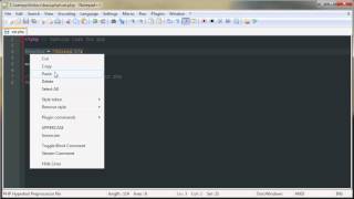 Basic PHP 2 - Variables - Part 1