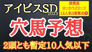 【アイビスサマーダッシュ2023】穴馬予想！韋駄天S組が強いレースだが今年は波乱がありそうで別のレースから来た推奨馬2頭を公開！