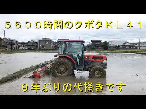 老兵クボタｋｌ４１代掻き参戦 倍速の感覚の違いに戸惑う