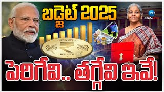 India Budget 2025 In Parliament | Union Budget 2025 | బడ్జెట్ 2025  పెరిగేవి.. తగ్గేవి ఇవే!