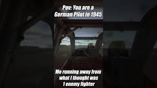 POV: You are a German Pilot in 1946 - Il-2 Sturmovik