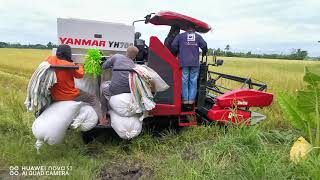 Yanmar YH700 Rice Combine Harvester