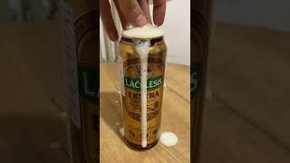 Lacplesis Ekstra lager beer #bearded #birds #beers #beerlovers #beerasmr #beerbottle #asmr