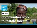 World environment day: Benin's local communities work to restore forests • FRANCE 24 English