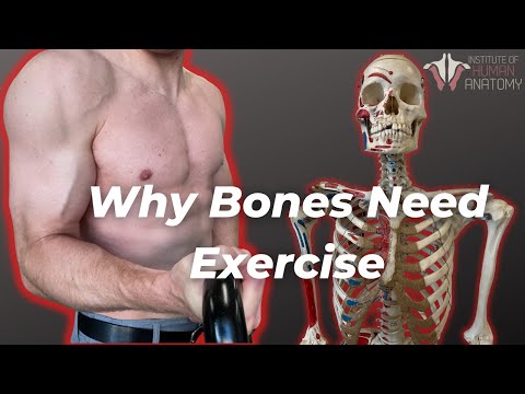 How should we look after our bones and muscles?