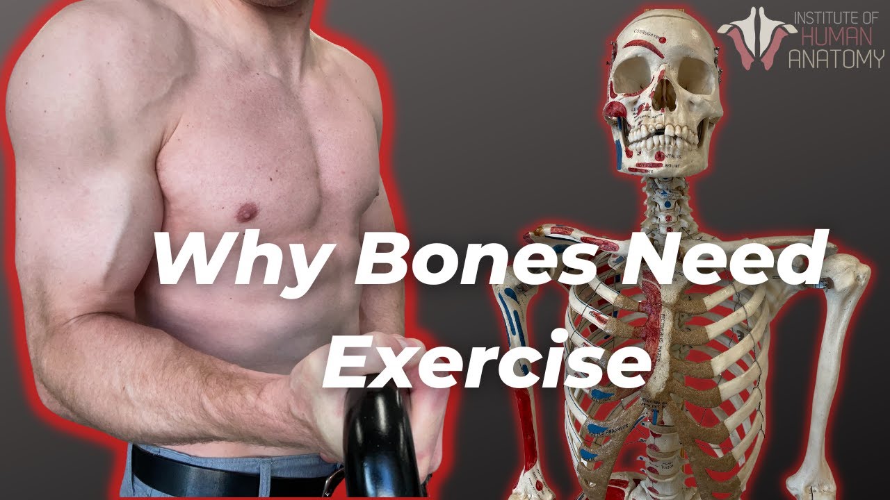 How Your Bones Change With Exercise Youtube