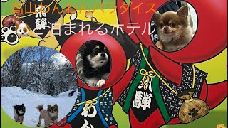 『高山わんわんパラダイス』犬も泊まれるホテル