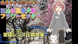 【新型アトレー】ぬるキャン△＠セブンチャンネル 日比谷花壇大船フラワーセンター（３月）EOSRPと望遠レンズで圧縮効果撮影に挑戦