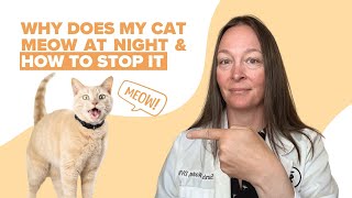 5 Reasons Your Cat Won’t Stop Meowing At Night \u0026 How To Stop It