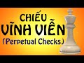 Perpetual Checks In Chess || Playchess1vn