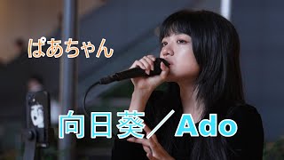 【向日葵／Ado】ぱあちゃん 路上ライブ