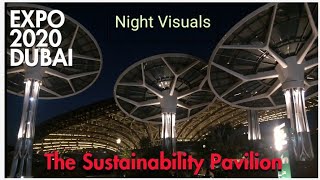 Dubai Expo 2020 I Terra Sustainability Pavilion I Night Visuals I شارع إكسبو
