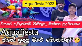 Aquafiesta එකේ හිටපු මාළු මොනවද?? aquafiesta 2023 tour