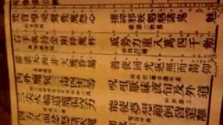 《我今振鈴語》瑜伽燄口片段 2009