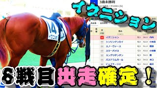 【一口馬主】イグニション、8戦目出走確定！-除外を乗り越え、ダート替わりで好転へ-【ノルマンディーOC】