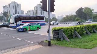 新加坡郊区野生動物 _ City In Nature _ !!?? _ 13feb2023 Singapore Wildlife 7.19am