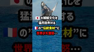 🇯🇵の捕鯨文化を猛烈批判する🇫🇷の\