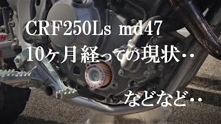 crf250L(s)md47　10ヶ月目