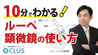 ルーペ・顕微鏡の使い方　中学理科　1年　2分野　植物の生活と種類1