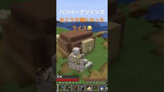 エメラルドの集め方！小5ハンバーグツインズ #minecraft #マインクラフト #マイクラ #minecraftshorts #shorts #short #エメラルド #村人交易 #ゲーム実況