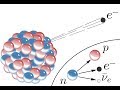 The Four Fundamental Forces of Nature - Part 3: The Weak Nuclear Force