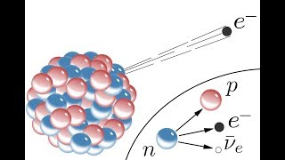The Four Fundamental Forces of Nature - Part 3: The Weak Nuclear Force