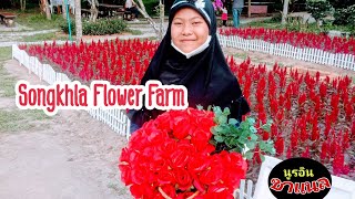 Songkhla Flower Farm | นูรอิน ชาแนล