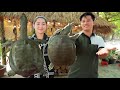 Tastiest Turtle Roast with Salt recipe / How to cook Turtle for precious taste - Cooking with Sros