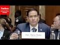 BREAKING: Protester Interrupts Marco Rubio During Opening Remarks, Calls Him A 'Traitor To Humanity'
