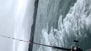 Extreme fishing 18/12/12 Mokau, NZ IMGP0261.MOV