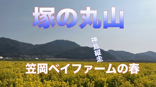 【低山登山】塚の丸山　笠岡ベイファームから見えるアンテナだらけの山へ登ったら？