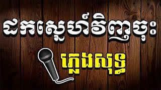 ដកស្នេហ៍វិញចុះ ភ្លេងសុទ្ធ | Dok Sne Vinh Jos [ Karaoke Pleng Sot ]