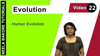 Evolution | NEET | Human Evolution| Neela Bakore Tutorials