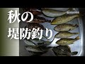 秋の堤防からお手軽釣行。in鹿児島