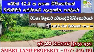 12.5 P. Land For Sale In Homagama Dolahena #property #land #realestate #forsale @SmartLandProperty4000